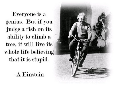 Einstein quote2